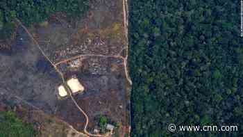 Drastic ecological changes in Africa could affect the entire planet. Here's why.