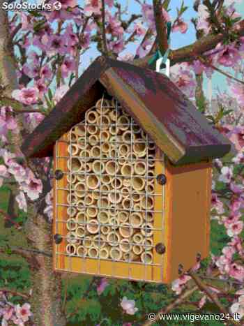 Vigevano: in arrivo le casette delle api - Vigevano24.it