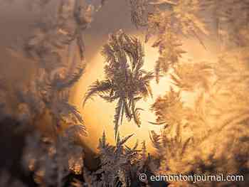 Edmonton weather: Never made it as a snowman, couldn't cut it as a man just shovelling - Edmonton Journal