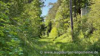 Augsburger kämpfen für einen Gedenkort für erschossene Soldaten - Augsburger Allgemeine
