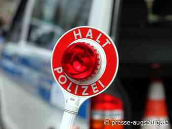 Bei Kontrolle auf A8 zwischen Dasing und Augsburg - Ost verwahrloste Hundewelpen entdeckt | Presse Augsburg - Presse Augsburg