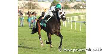 RAGS TO RICHES: SHINNY LOOKING TO REACH MILESTONE WIN