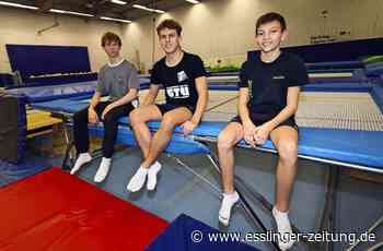 Trampolinturner aus Ostfildern - Per Salto zur Goldmedaille - esslinger-zeitung.de