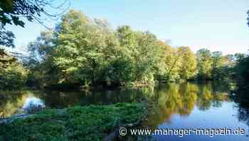 Hier kommt das Spotify für grüne Investoren