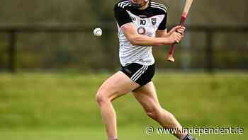 O'Kelly-Lynch on hurling team of 2021 - Independent.ie