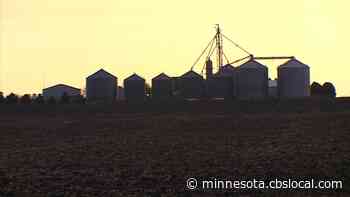 Fergus Falls Farming Couple Rescues Afghans: ‘They Become Our Family’ - CBS Minnesota