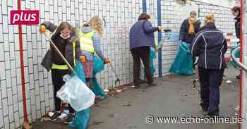 Unappetitliche Funde in Lampertheim - Echo Online