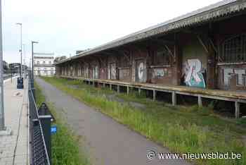 Drie treinen afgeschaft en aanzienlijke vertragingen tijdens ochtendspits - Het Nieuwsblad