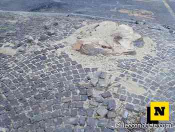 Lecco. Abbattuti gli alberi in via Pasubio, saranno sostituiti con nuove essenze - Lecco Notizie