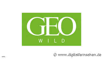 Geo Wild: Erste Streaming-Erweiterung bei RTL+ - Digitalfernsehen.de