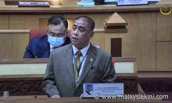 Perak follows logging rules in permanent forest reserves - MB - Malaysiakini