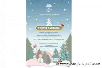 The Forestias Hosts Year-End Extravaganza “The Forestias Christmas Time: Forest Fantasia” - Bangkok Post