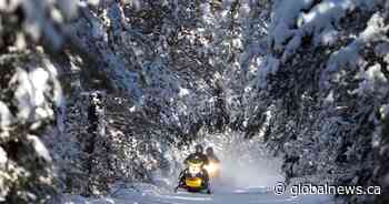 Northumberland County Forest snowmobile trails reopen after use agreement reached - Globalnews.ca