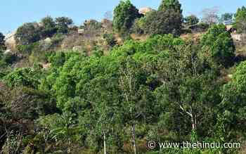 More than 2 lakh acres of forest encroached in State - The Hindu