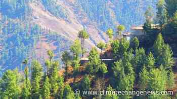 Five WWF Pakistan staff monitoring forest protection die in car crash - Climate Home