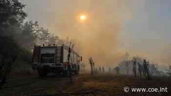 New publication of the European Centre for Forest Fires - Council of Europe