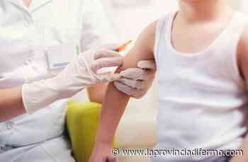 Vaccini ai bambini, le prenotazioni non decollano: 93 a Fermo. Acquaroli: "La pandemia non svanisce per incanto" - Laprovinciadifermo.com