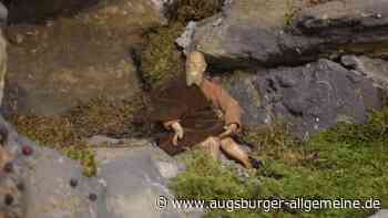 Warum in schwäbischen Krippen der Hieronymus am Rande sitzt