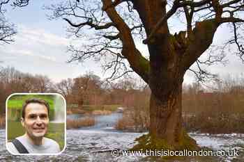 Epping Forest has much to offer walkers and sports people