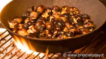 Addio ad Alba, 'regina' delle caldarroste: una tappa fissa per tanti bresciani - BresciaToday