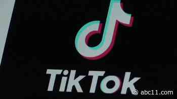 TikTok posts threaten school shootings, bombings in push to get classes dismissed Friday