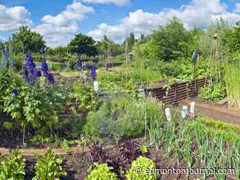 Growing Things: 2022 declared the Year of the Garden