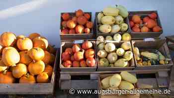 Er bediente sich an Verkaufsständen: Seriendieb aus Neu-Ulm ist gefasst