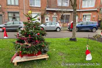 Hoboken schenkt 38 kerstbomen aan bewoners die straatfeest organiseerden: “Het zijn de kleine gebaren die tellen”