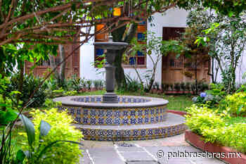 En vilo, futuro de vendedores del parque en Coatepec | PalabrasClaras.mx - PalabrasClaras.mx