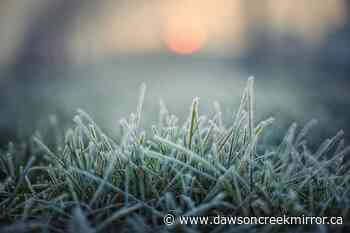 Frostbite in minutes: pair of cold nights forecasted - Dawson Creek Mirror