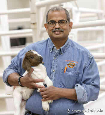 Dawson Named Regents Distinguished Teacher - Oklahoma State University