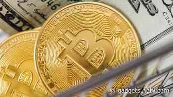 Millennial Millionaires Plan to Add to Their Crypto Investments in 2022, Reveals Survey