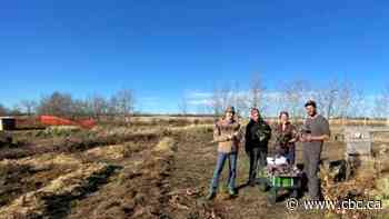 Alberta matchmaking program could help young farmers find land, not love