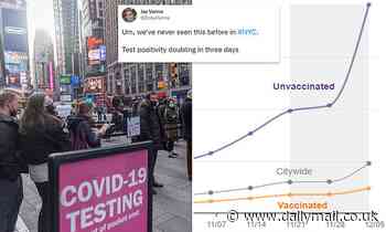 'We never seen this before': Omicron fears spark huge testing lines across the city