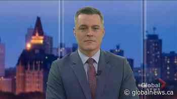 Saskatchewan SPCA raising awareness of emergency pet food bank