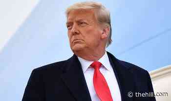 Trump sought to 'undermine' COVID-19 response, says panel