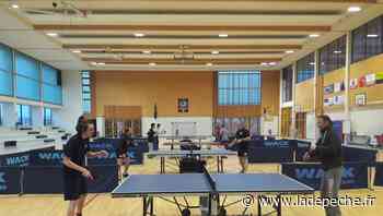 Montech. Les bons résultats du tennis de table - ladepeche.fr