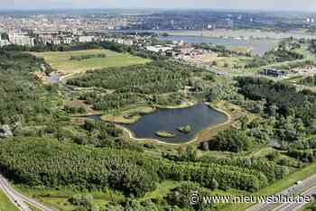 Man (59) overleden in natuurgebied Middenvijver op Linkeroever