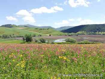 Foligno, Natale al Parco di Colfiorito: escursione il 19 dicembre - Il quotidiano che racconta l'Umbria - Umbria Cronaca