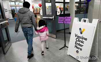Pfizer expects vaccine for kids under 5 in 'first half' of next year