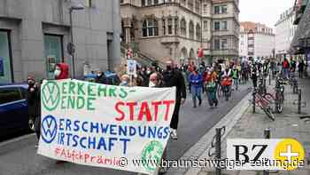 „Fridays for Future“: Klimaneutralität in Braunschweig anpacken