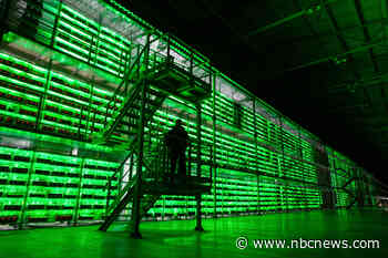 Hi-tech heists: Crypto hackers make a killing robbing trading platforms