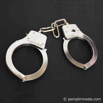 Portland men charged in St. Helens car prowl spree - Pamplin Media Group