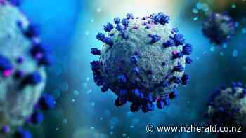 Covid 19 Delta: Child under 10 becomes NZ's youngest Covid-19 death - New Zealand Herald