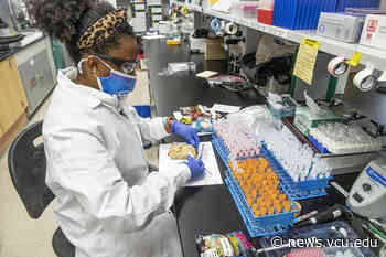 VCU lab testing delta-8 products finds misleading labeling, lack of safety standards - VCU News