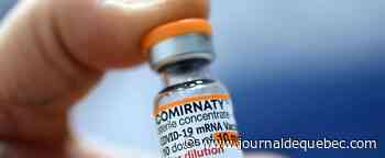 Pfizer va tester une 3e dose de vaccin anti-COVID pour les moins de 5 ans