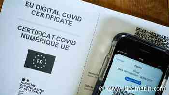 Un réseau de milliers de faux pass démantelé en France