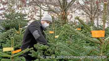 Unbekannte stehlen knapp 90 Weihnachtsbäume in Niedersachsen