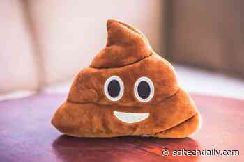 Why Is Poop Brown? A Doctor Explains