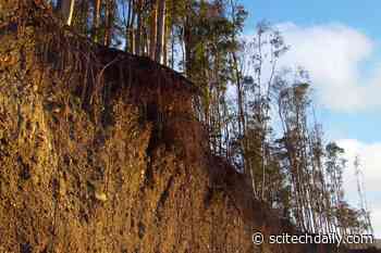 Shifting Sands, Creeping Soils – And a New Understanding of Landscape Evolution